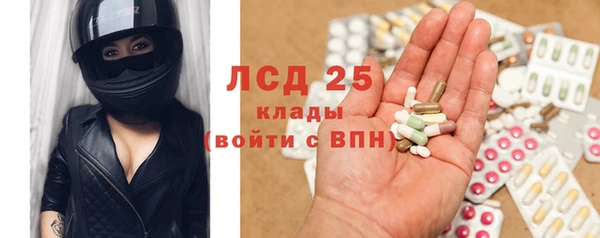 прущие грибы Лагань