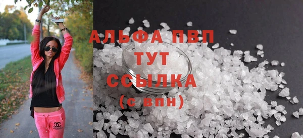 ПСИЛОЦИБИНОВЫЕ ГРИБЫ Ладушкин