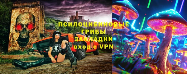 ПСИЛОЦИБИНОВЫЕ ГРИБЫ Ладушкин