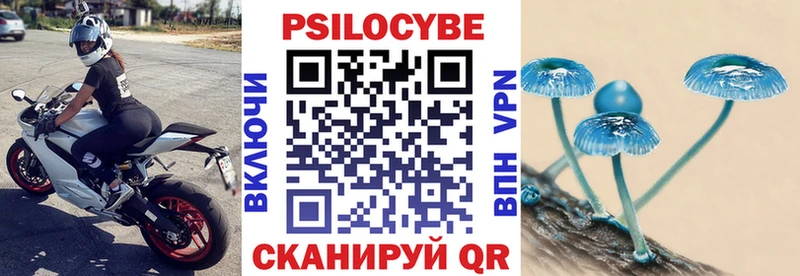 Купить  Нововоронеж  Псилоцибиновые грибы Magic Shrooms 